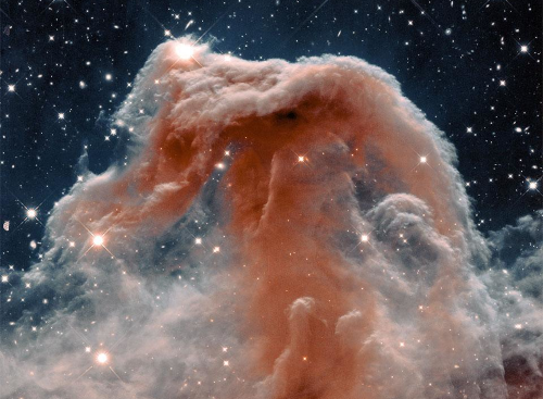 Picture of the Horsehead Nebula